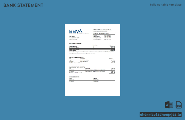 Beispiel-Excel-Vorschau eines Kontoauszugs der BBVA Bank Argentinien